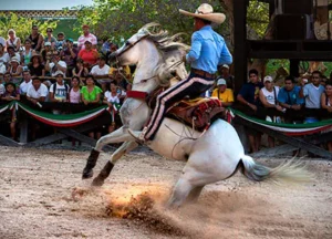 about-xcaret-09